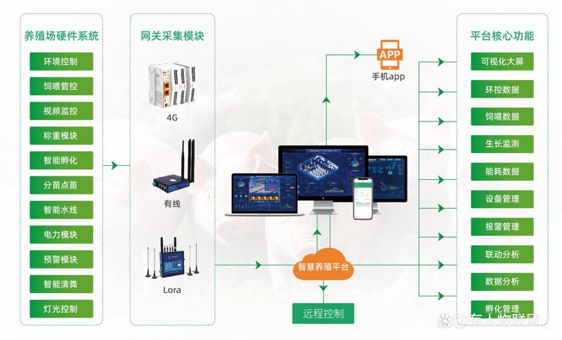 企业数字化转型：成功的关键步骤